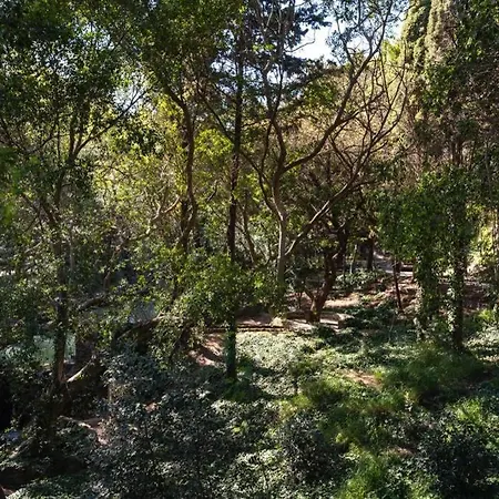 Rodini Park Apartment