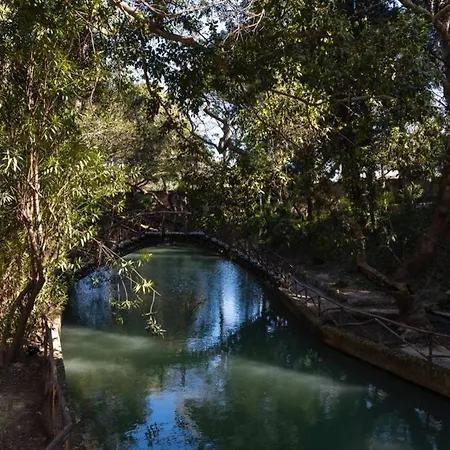 Rodini Park *